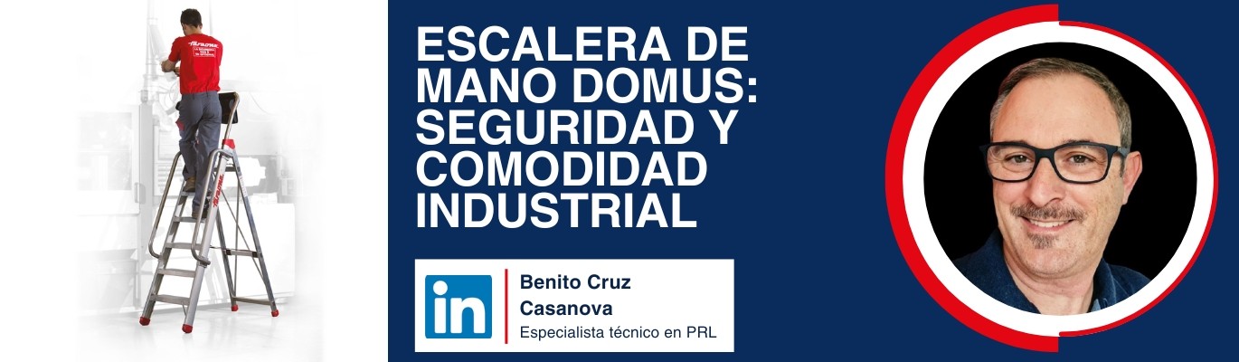 Escalera de Mano DOMUS: Seguridad y Comodidad Industrial